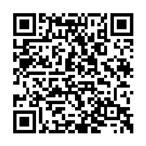 荀攸仿佛从曹昂身上看到了当初立志要拯救天下二维码生成