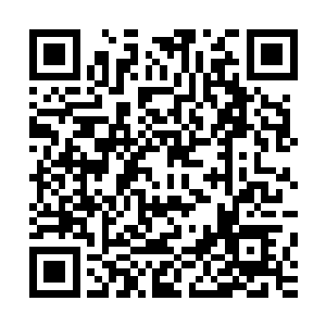 荀梅前辈昨夜在神道前重伤时说过把这间草屋留给我们所有人二维码生成