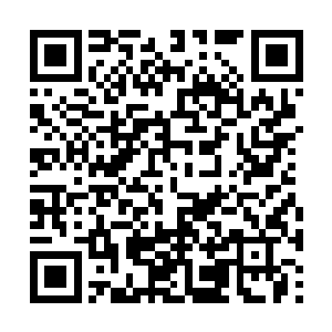 荀烨必然会第一时间学这首可以利用弱水的战诗词二维码生成