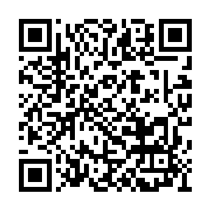 荀长坤和荀战只觉得耳中突然一道震颤之音出现二维码生成