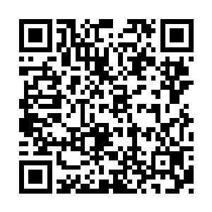 草地上长着一株浑身流动着血液似的妖冶龙血树二维码生成