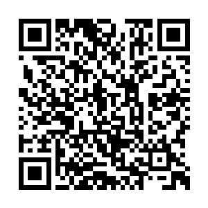 草地上食草动物悠闲自在地或吃草或休息或玩耍二维码生成