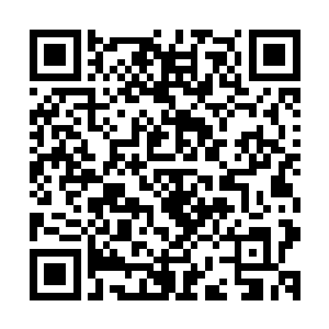 草摩由希也被送去跟草摩家一个开道场的族人去学功夫健身了二维码生成
