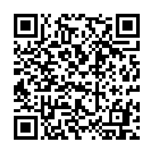 草莓上一把的贾克斯给陈诚等人造成了一定的麻烦二维码生成