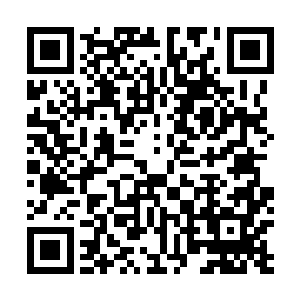 草谷真人还额外奉送了他们各种各类的丹药共计二十余瓶二维码生成