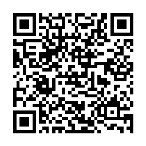草野富江竟然用自己的血喂一朵兰花一口气喂了18年二维码生成