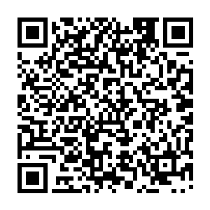 荒野之神银月小姐巫妖安泽地女巫……这一切的背后肯定有一个合理的解释二维码生成