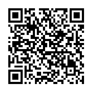 荔娘在数次旁敲侧击俱被朱平安轻描淡写的化解掉后二维码生成