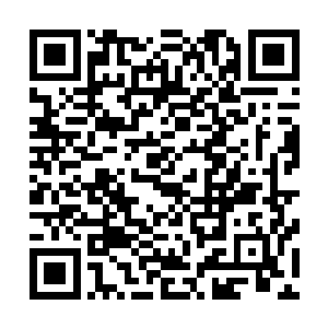 荣也跟着追了回去……否则这球要是丢了我肯定要找你麻烦二维码生成