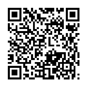 荣光却突然拿起了施魏因斯泰格放在桌子上的球拍二维码生成