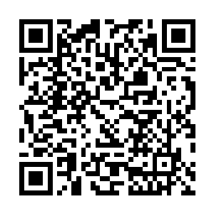 荣光和伊布拉希莫维奇两个人的糟糕关系并没有分裂球队二维码生成