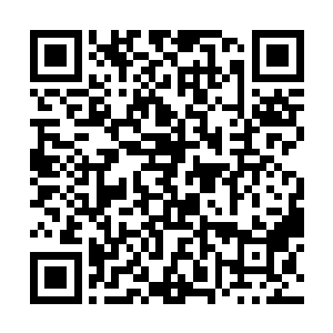 荣光曾经的队友也纷纷对荣光的出色表现发表了看法二维码生成