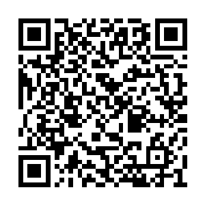 荣光经常会给黛玻菈讲述在训练场上他所看到的二维码生成
