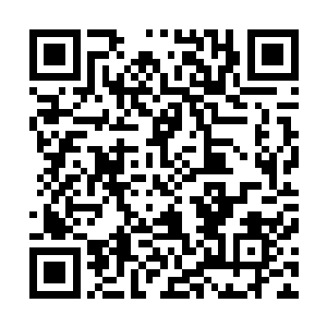 荣光跑回酒店房间的第一件事情就是给小神仙孙奉阳打电话二维码生成