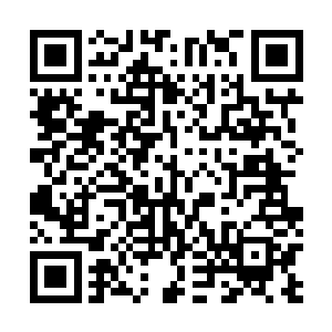 荣耀至死的乐队五名成员齐齐在合约上签署了自己的名字二维码生成