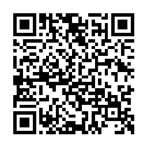 荣耀至死的死忠歌迷也就第一次诞生了统一称呼二维码生成