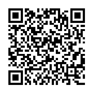 荥阳郑氏府宅也被与城门和府衙宅邸一样的守卫给封锁了二维码生成