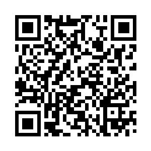 药家的族长和那些精英子弟都是不败的二维码生成