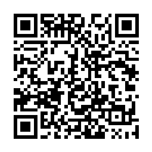 药效方面和清心老道挑走的灵草绝对差了一个档次的灵草二维码生成