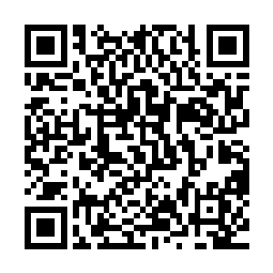 药鼎上刻画的精美图案竟然就在清心老道的拍打之下活了起来二维码生成