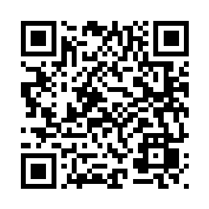 荷枪实弹的军人把守住一个个路口二维码生成