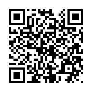 荷花星星点点散布在荷叶间静静开放的情形二维码生成