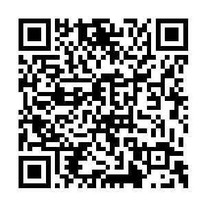 莉姐看到两名黑西装大汉正在吧台内寻找着什么二维码生成