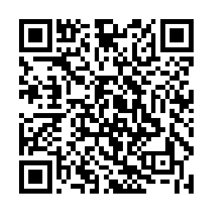 莉娜这些年在看到詹姆斯等几个儿子时是多么的悲伤二维码生成