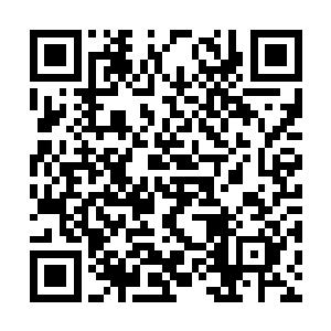 莎莉亢奋的欢笑声让罗宾和杰西卡交换了一下视线二维码生成