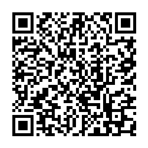 莎莉的第一个反应就是以前在荣耀至死的巡演路途上见过布兰妮和贾斯汀二维码生成