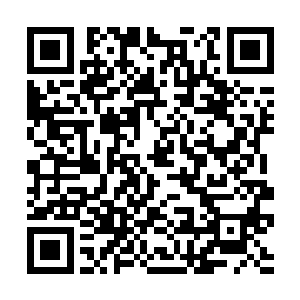 莫不是你们以为林朗加徐慕君再加贵仆学和满府家丁二维码生成