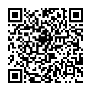 莫凡不得不使用自己平时对待强大敌人所用的招式了二维码生成