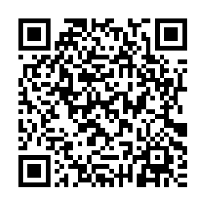 莫凡对黄毛有些羡慕又有些担心的诡异眼神弄的头皮发麻了一下二维码生成
