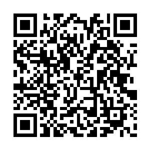 莫凡并不知道今晚的事情让他真的得罪了黑虎帮二维码生成