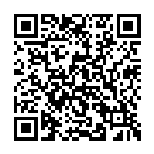 莫吉列维奇很久以前就不再做打打杀杀的生意了二维码生成