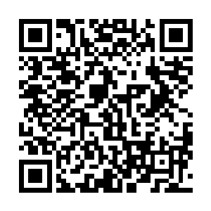莫咏欣两姐弟和几个黑衣保镖开始议论起进入洞穴的方案二维码生成