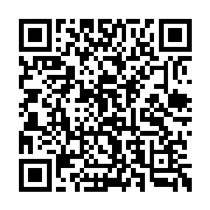 莫咏欣和孟瑶并肩来到了最后方的一片桃花林中二维码生成