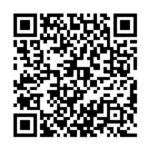 莫基纳很庆幸终于能够到达目的地了库琴斯基总统的家了二维码生成