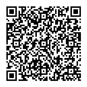 莫大的威压宣泄而下 犹如天穹崩裂 九天之上的银河都在这一刻落下 风清扬眼中只有那两个人二维码生成