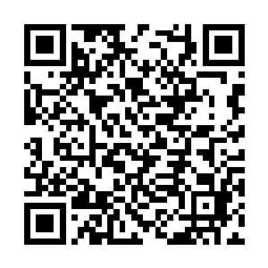 莫家大院外的所有出云弟子都齐刷刷地坐在了地上二维码生成