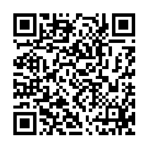 莫家姐弟的母亲就犹如一具木偶一般一动也不会动二维码生成
