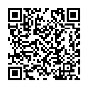 莫寒仙已经带着几个寒仙山厉害的无极境仙家来了二维码生成