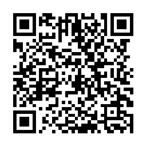 莫小鱼不想让那本敦煌经卷在英康宁手里待的太久了二维码生成