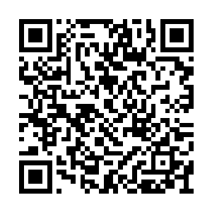 莫小鱼到了汽车前打开了车门将姬可馨送了进去二维码生成