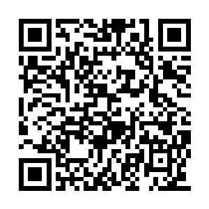 莫小鱼开始不断的把车上的扔到了路边的树林里二维码生成