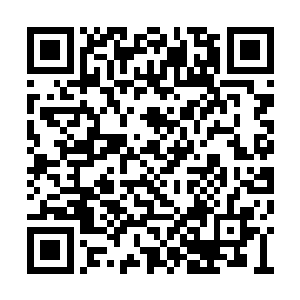 莫小鱼心不在焉是因为他的心里知道该怎么做了二维码生成