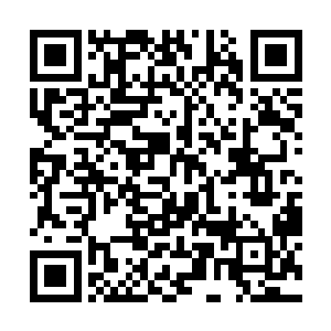 莫小鱼把今天在山里遭遇的事完完全全的说了一遍后二维码生成