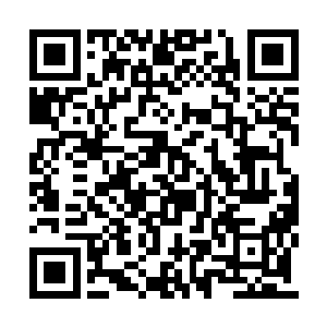 莫小鱼掏出了一张二十万美元的支票递给了洪爷二维码生成