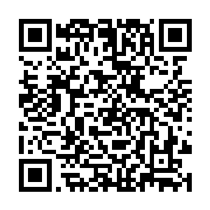 莫小鱼给吕文浩的机会不但是把损失的钱都赚了回来二维码生成