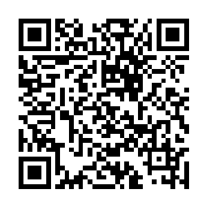 莫小鱼说着把随身带来的那幅唐伯虎的画拿了出来二维码生成